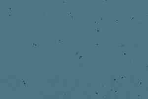 Линолеум Forbo Sphera Energetic 50204 deep sea фото  | FLOORDEALER